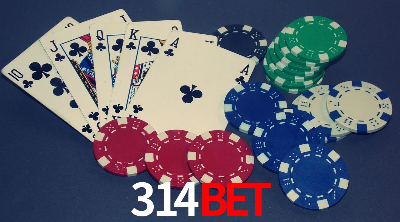 Game Providers 314bet